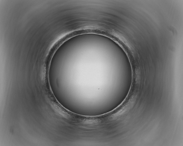 X0000110911021200906181338