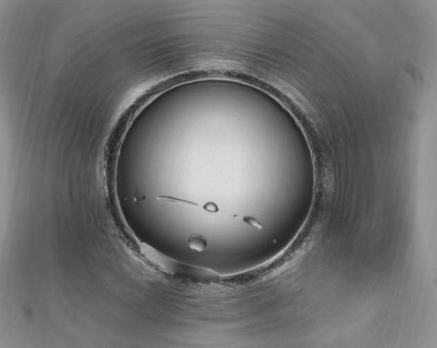 X0000110911022200906181338