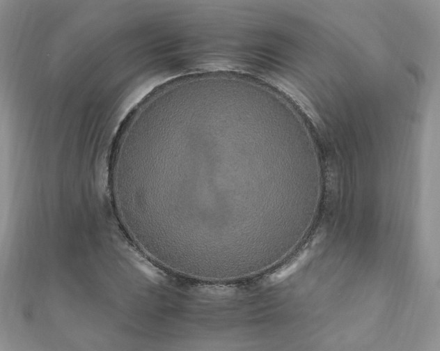 X0000110911023200906181338