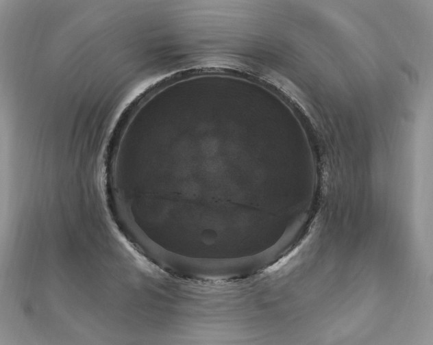 X0000110911024200906181338