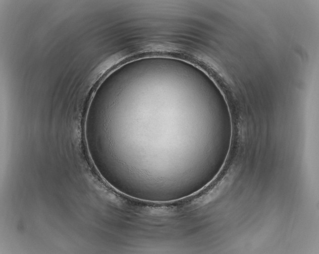 X0000110911025200906181338