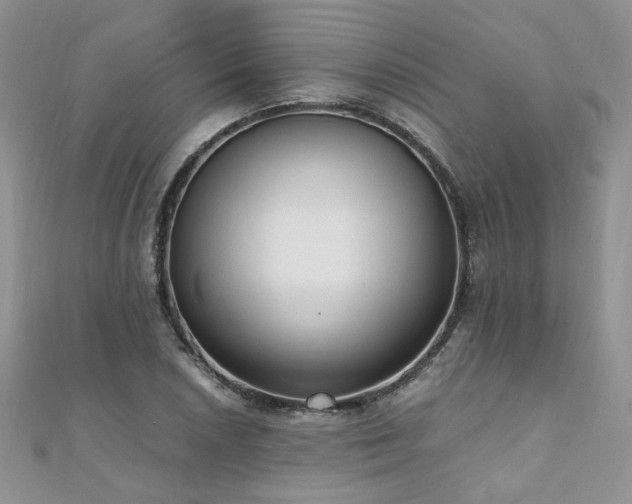 X0000110911026200906181338