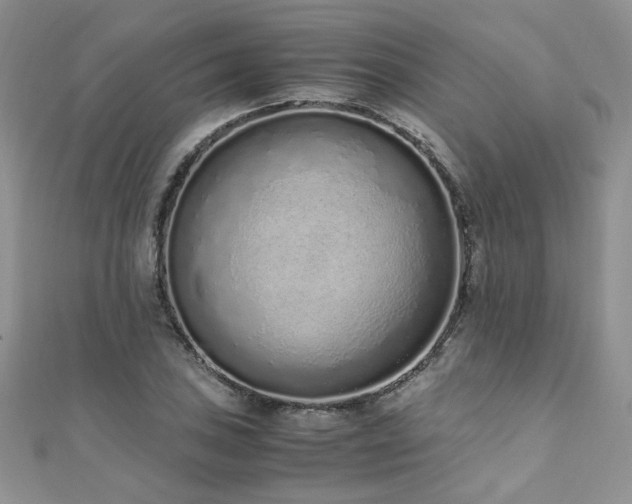 X0000110911027200906181338