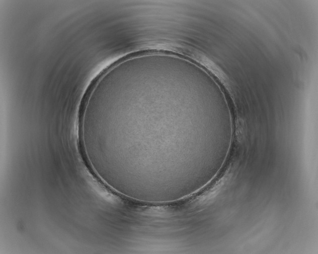 X0000110911028200906181338