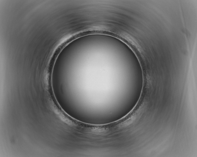 X0000110911029200906181338