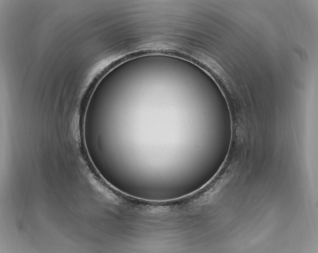 X0000110911030200906181338