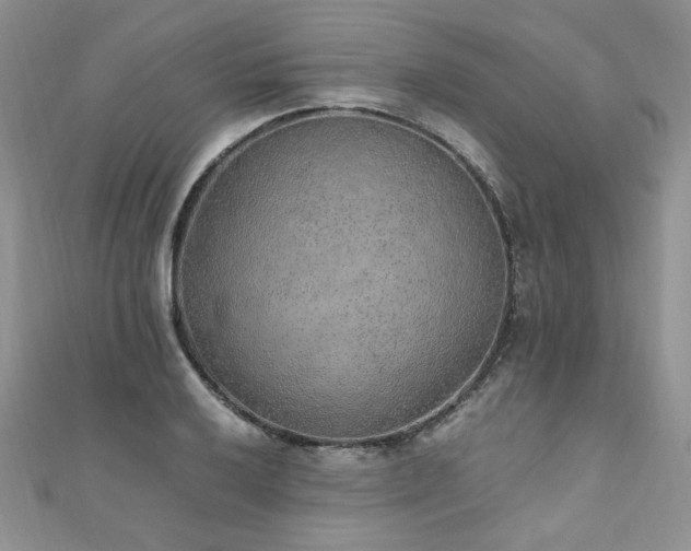 X0000110911032200906181338