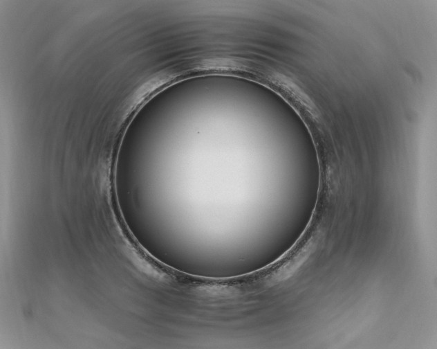 X0000110911033200906181338