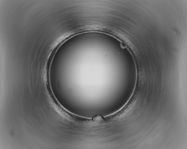 X0000110911034200906181339