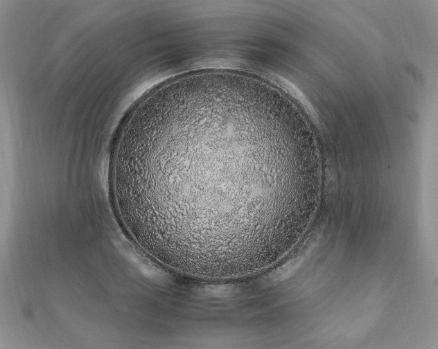 X0000110911035200906181339