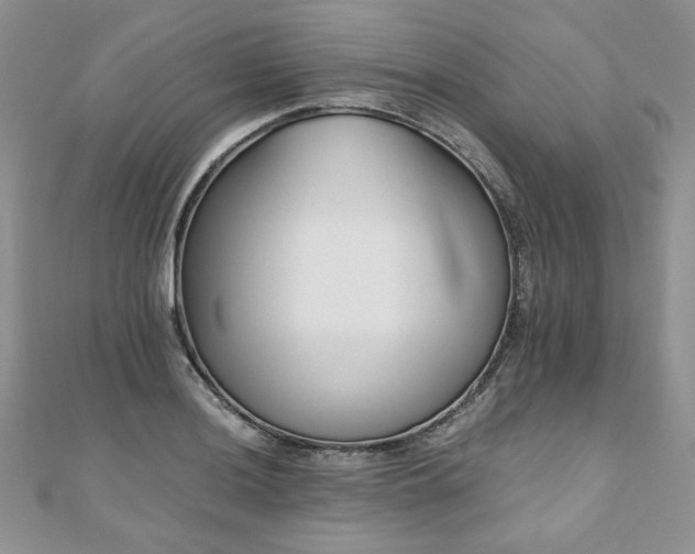 X0000110911036200906181339