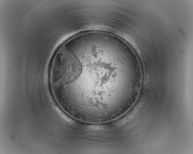 X0000110911037200906181339