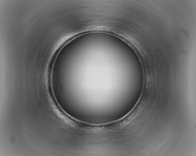 X0000110911038200906181339