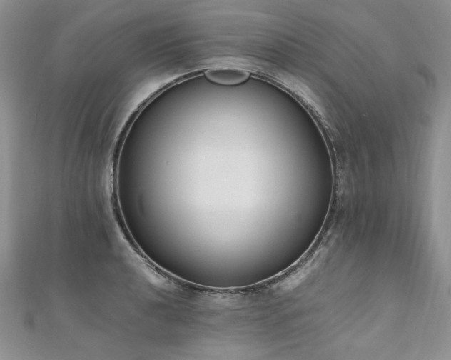 X0000110911040200906181339