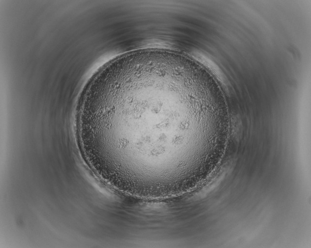 X0000110911043200906181339