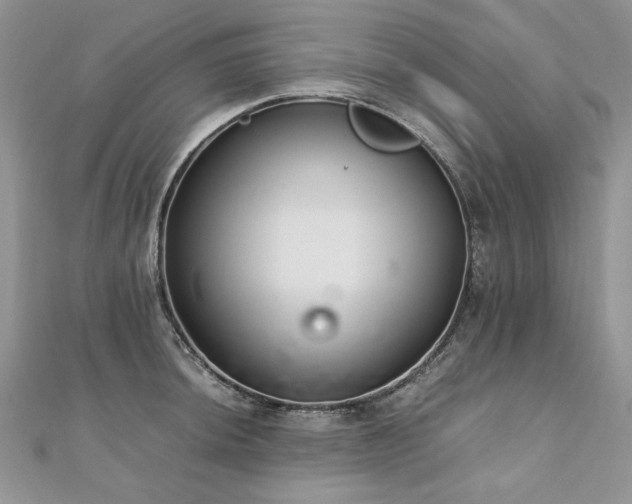 X0000110911044200906181339