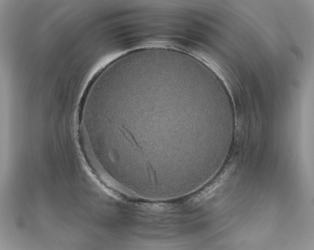 X0000110911045200906181339