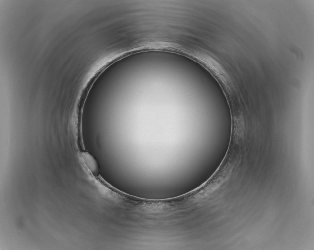 X0000110911046200906181339