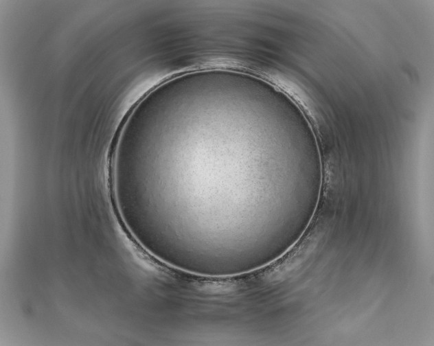 X0000110911047200906181339