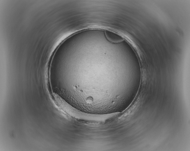 X0000110911048200906181339