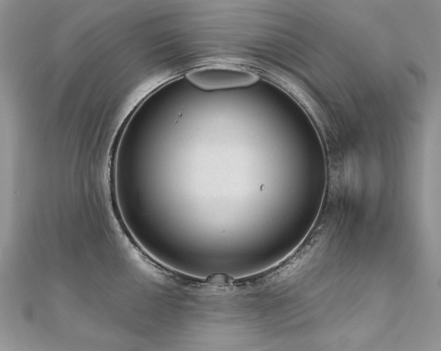 X0000110911050200906181339