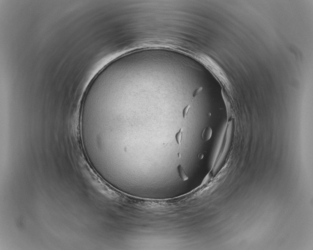 X0000110911052200906181339