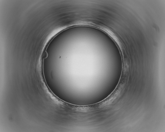 X0000110911053200906181339