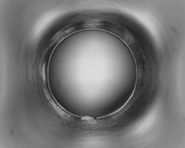 X0000110911054200906181339