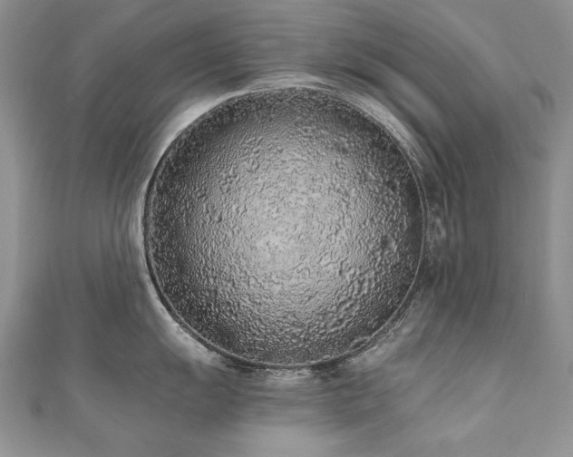 X0000110911055200906181339