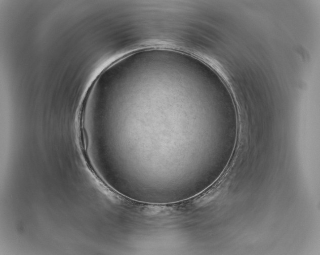 X0000110911056200906181339