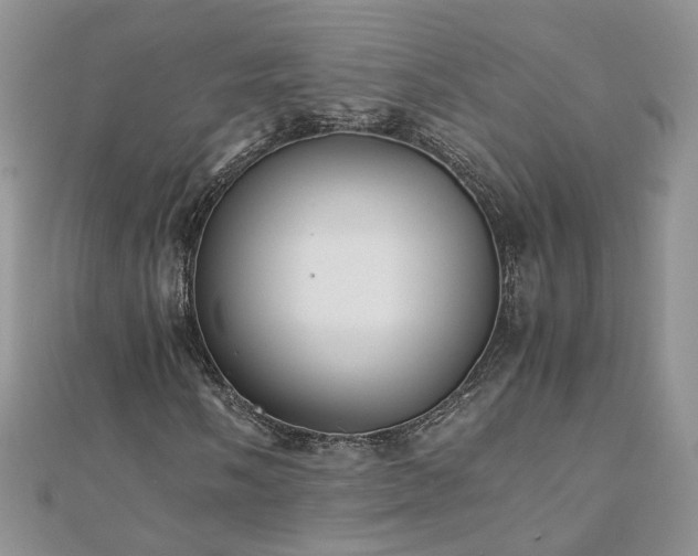 X0000110911058200906181338