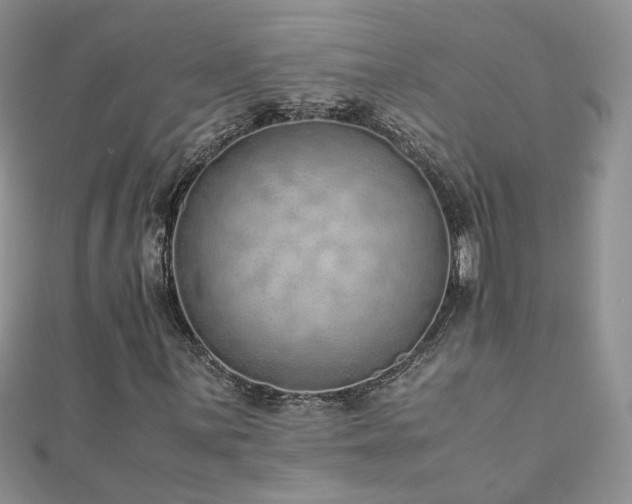 X0000110911059200906181338