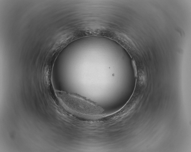 X0000110911060200906181338