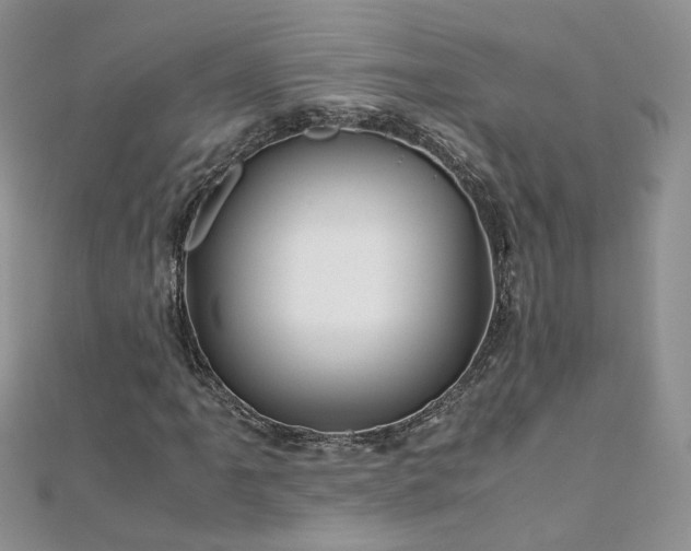 X0000110911061200906181338