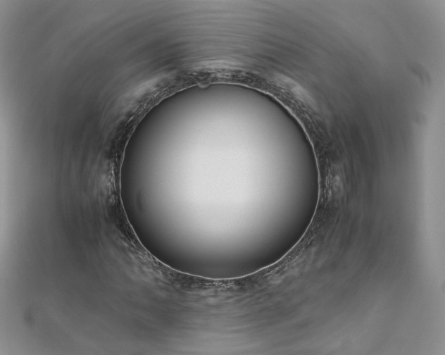 X0000110911062200906181338