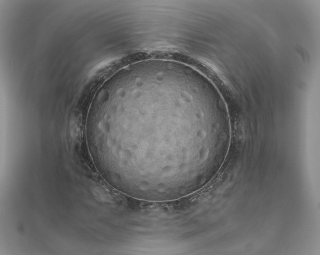 X0000110911063200906181338