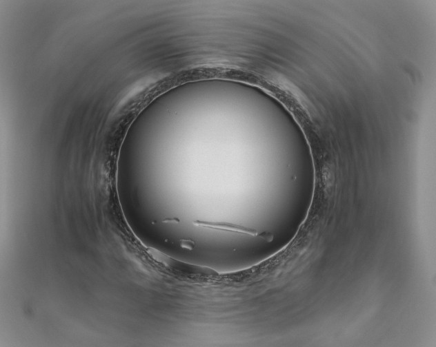 X0000110911064200906181338