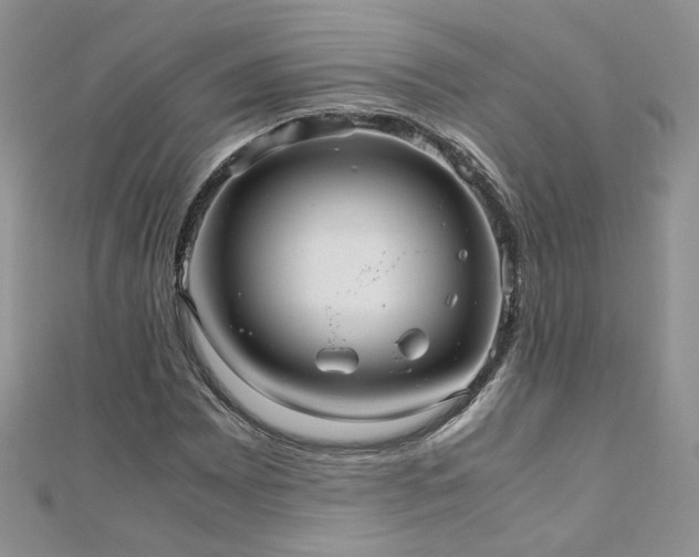 X0000110911065200906181338