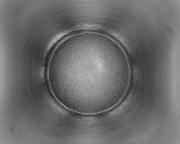 X0000110911066200906181338