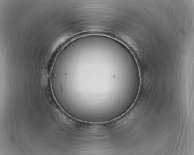 X0000110911067200906181338