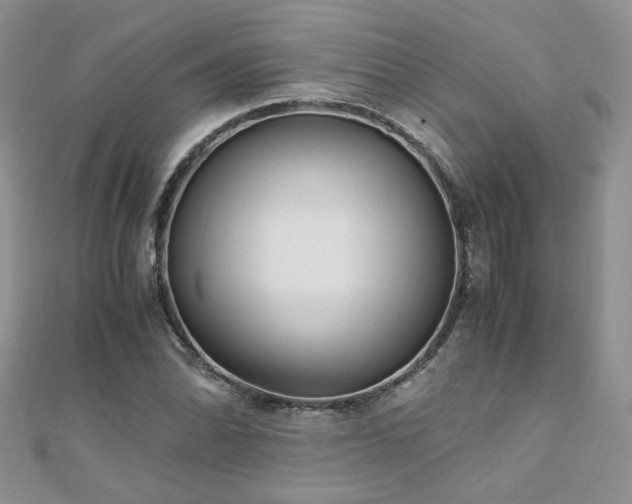 X0000110911070200906181338