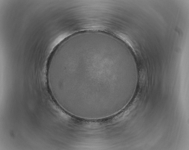 X0000110911071200906181338