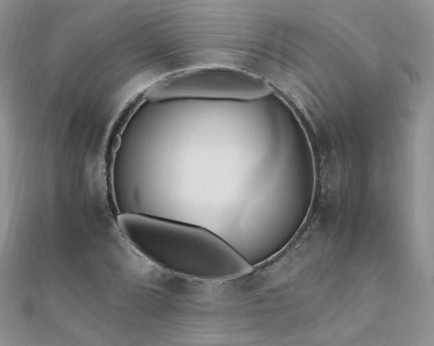 X0000110911072200906181338