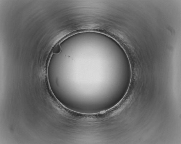 X0000110911073200906181338