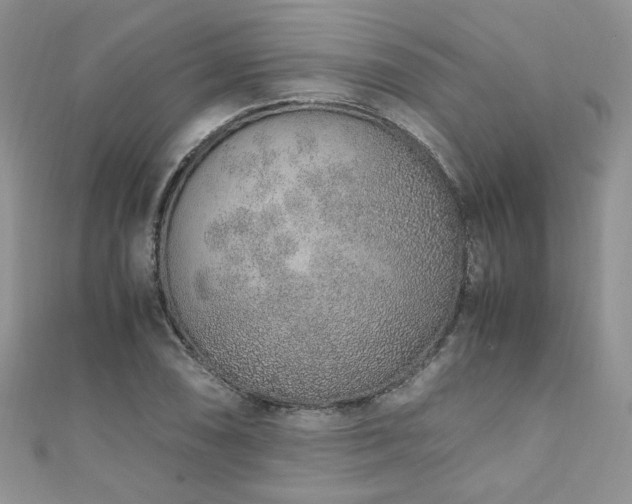 X0000110911074200906181338