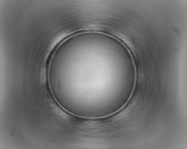 X0000110911075200906181338