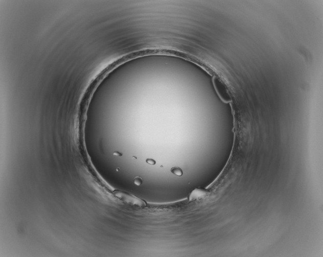 X0000110911076200906181338