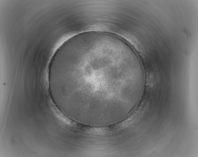 X0000110911078200906181338