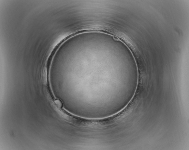 X0000110911079200906181338