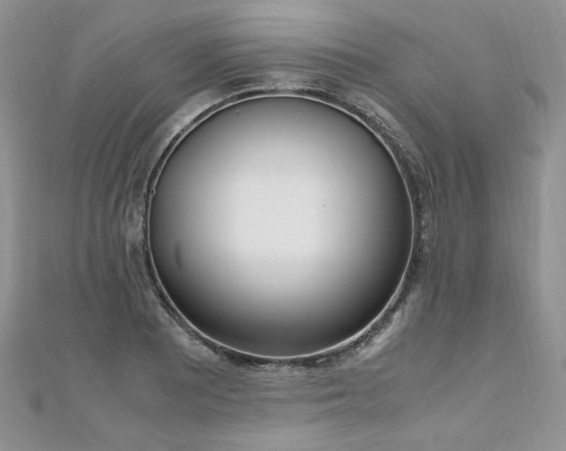 X0000110911081200906181338